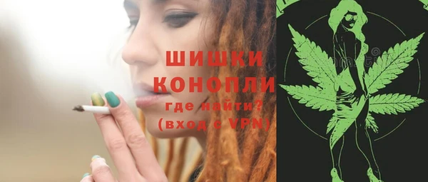 спиды Иннополис