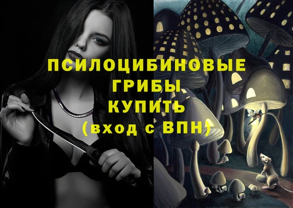 мяу мяу мука Карталы