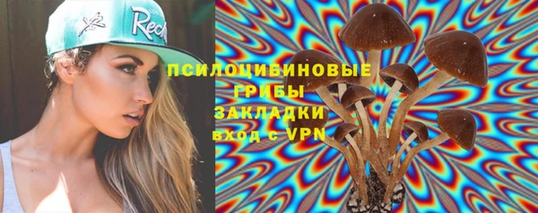 мяу мяу мука Карталы