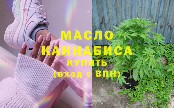 винт Каменка