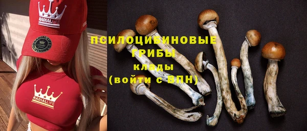 хмурый Каменск-Шахтинский