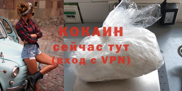 винт Каменка
