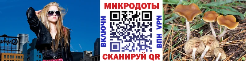 Псилоцибиновые грибы мицелий  Сортавала 