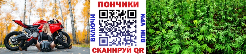 Бошки Шишки White Widow  darknet какой сайт  Сортавала  купить  цена  kraken  